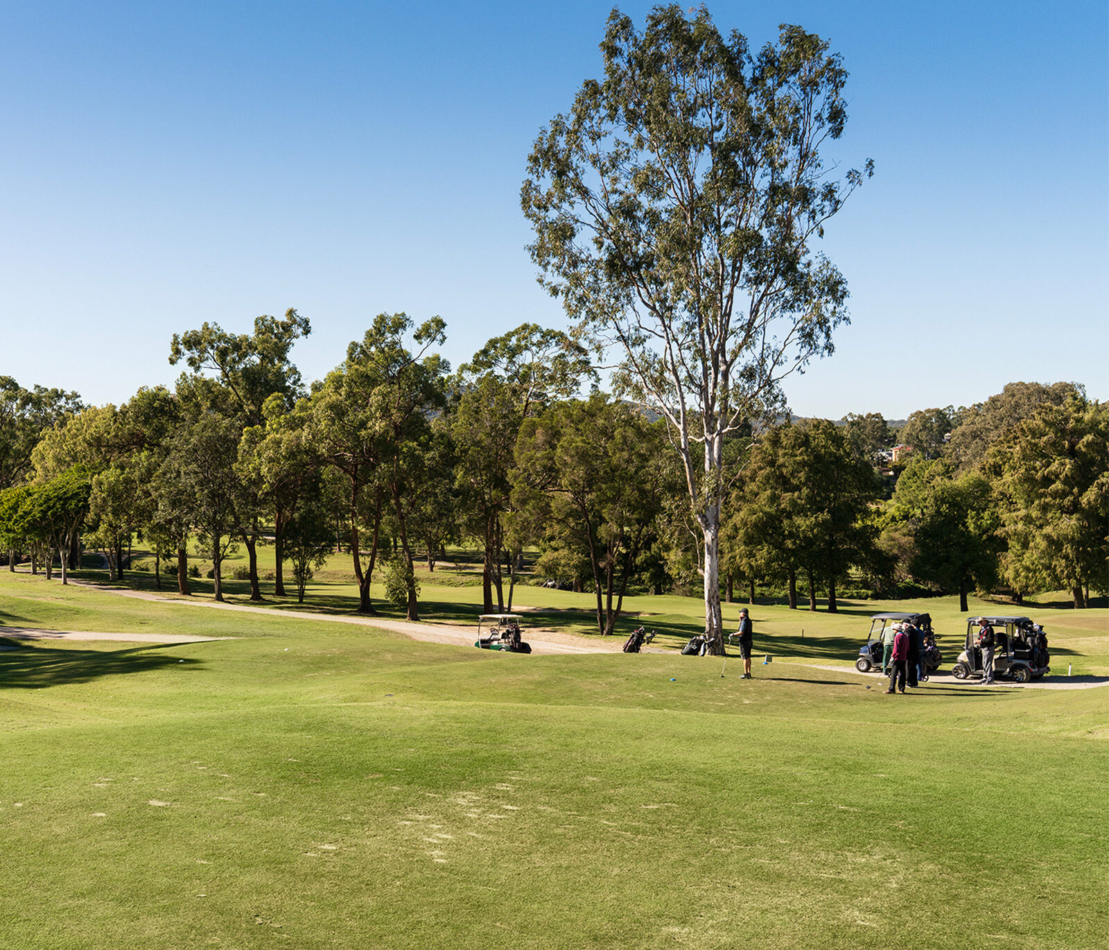 1600x1370 Pacific Golf Club