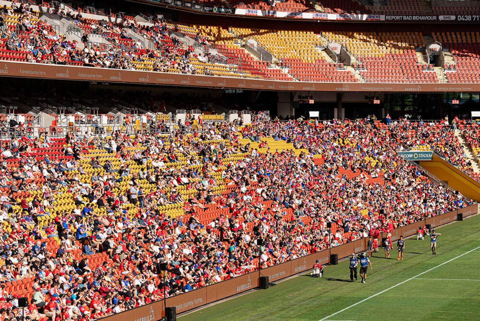 Dolphins28 April hero1