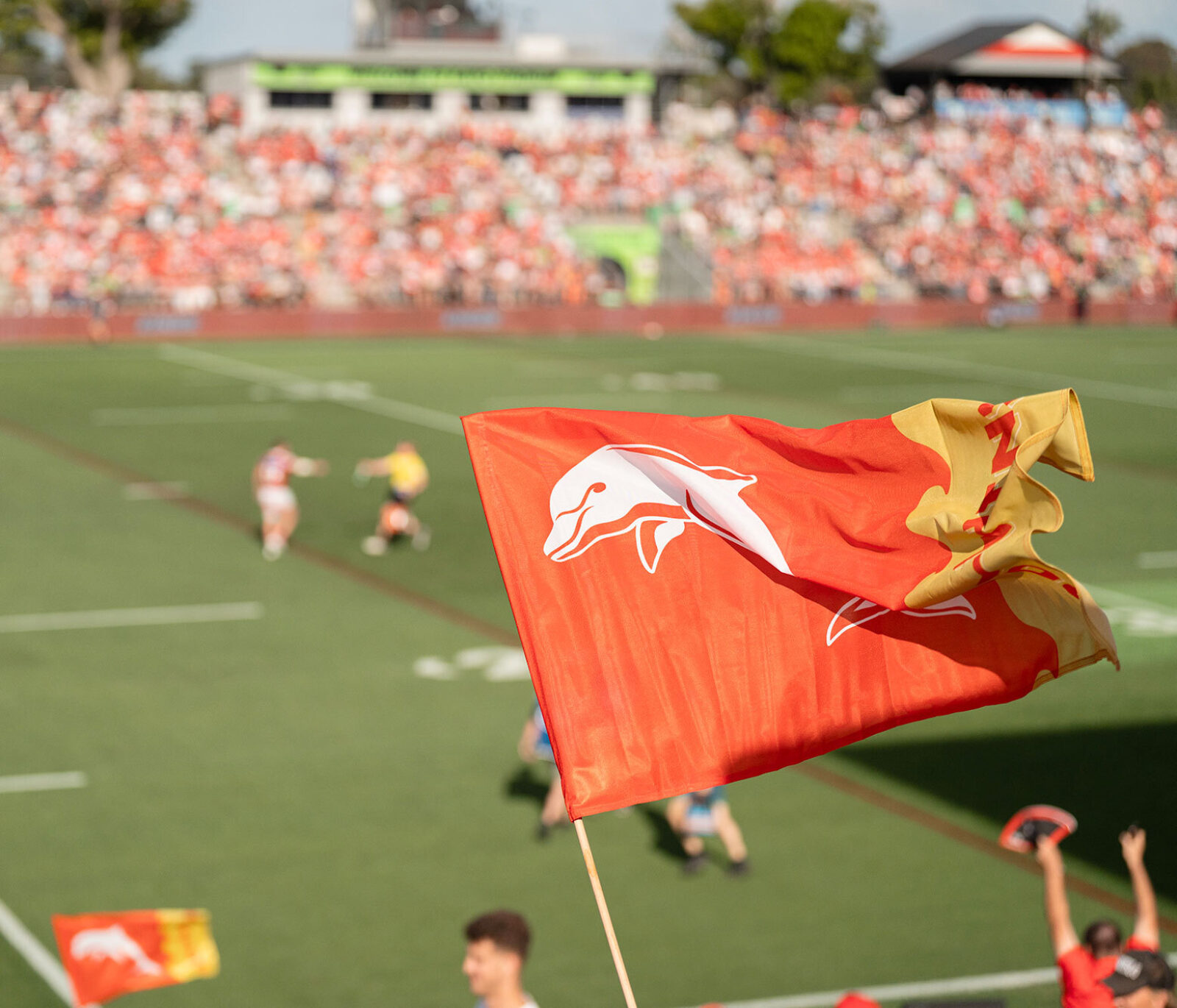 HRE Ojpeg R28 Sep8 Dolphins Kayo High Res0017