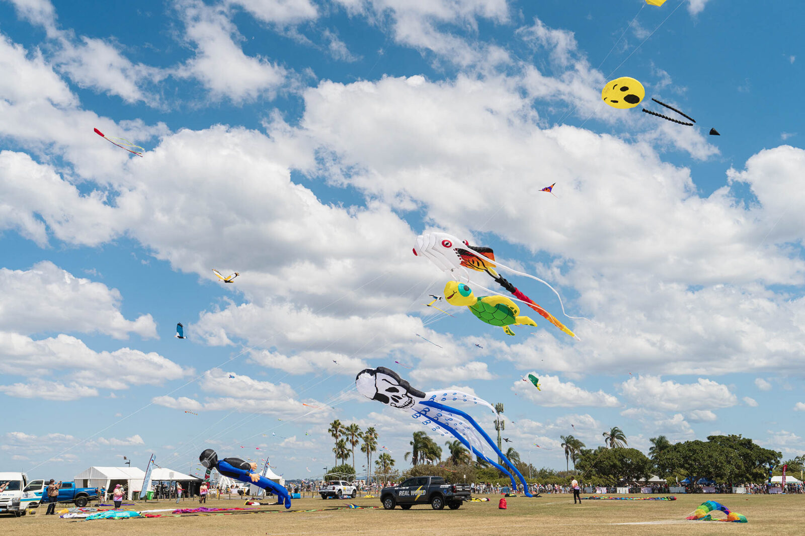 Kite Festival2025 High Res0011