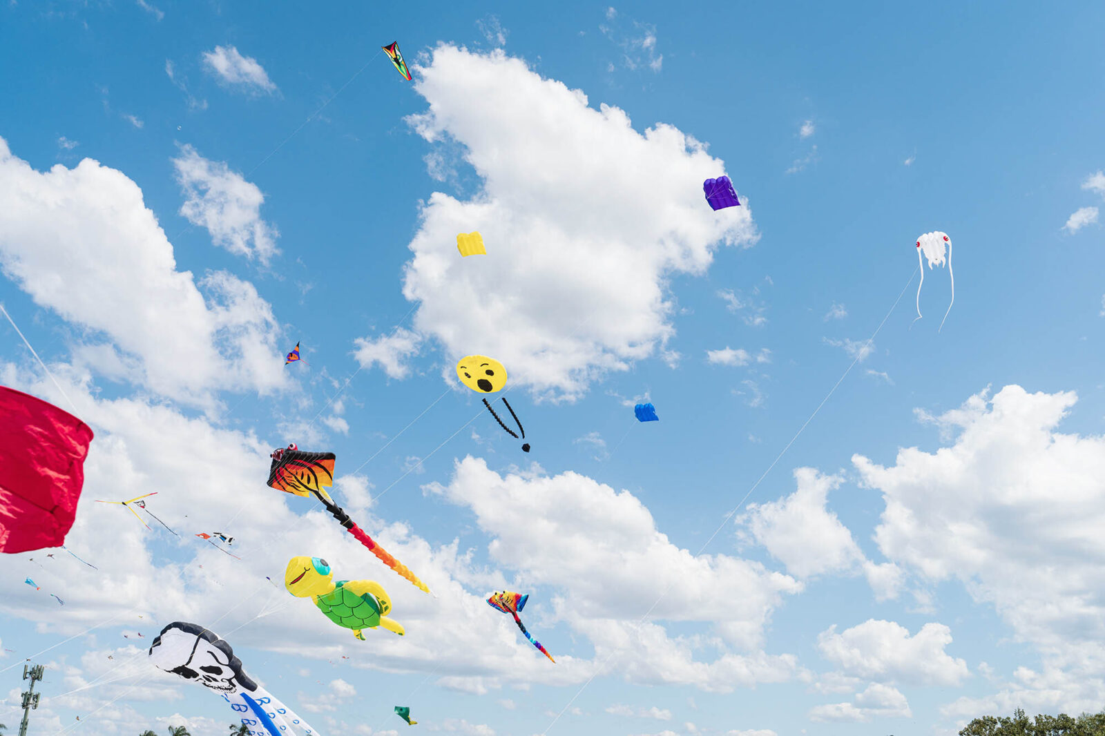 Kite Festival2025 High Res0013