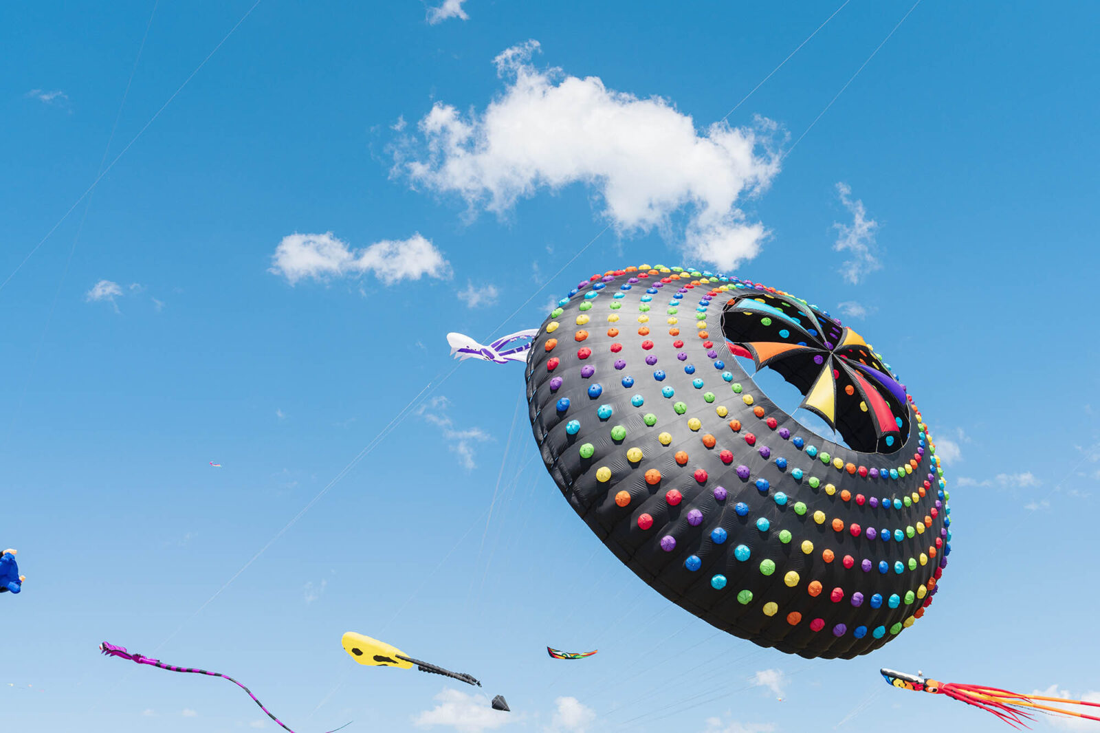 Kite Festival2025 High Res0026