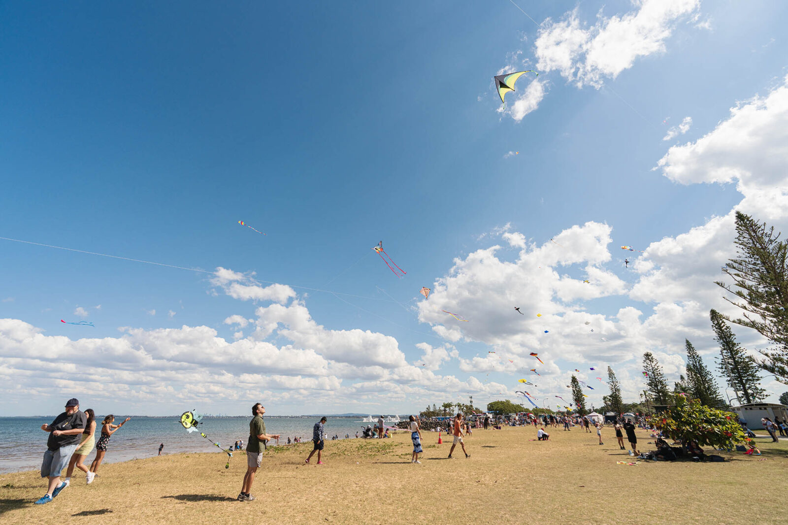 Kite Festival2025 High Res0030