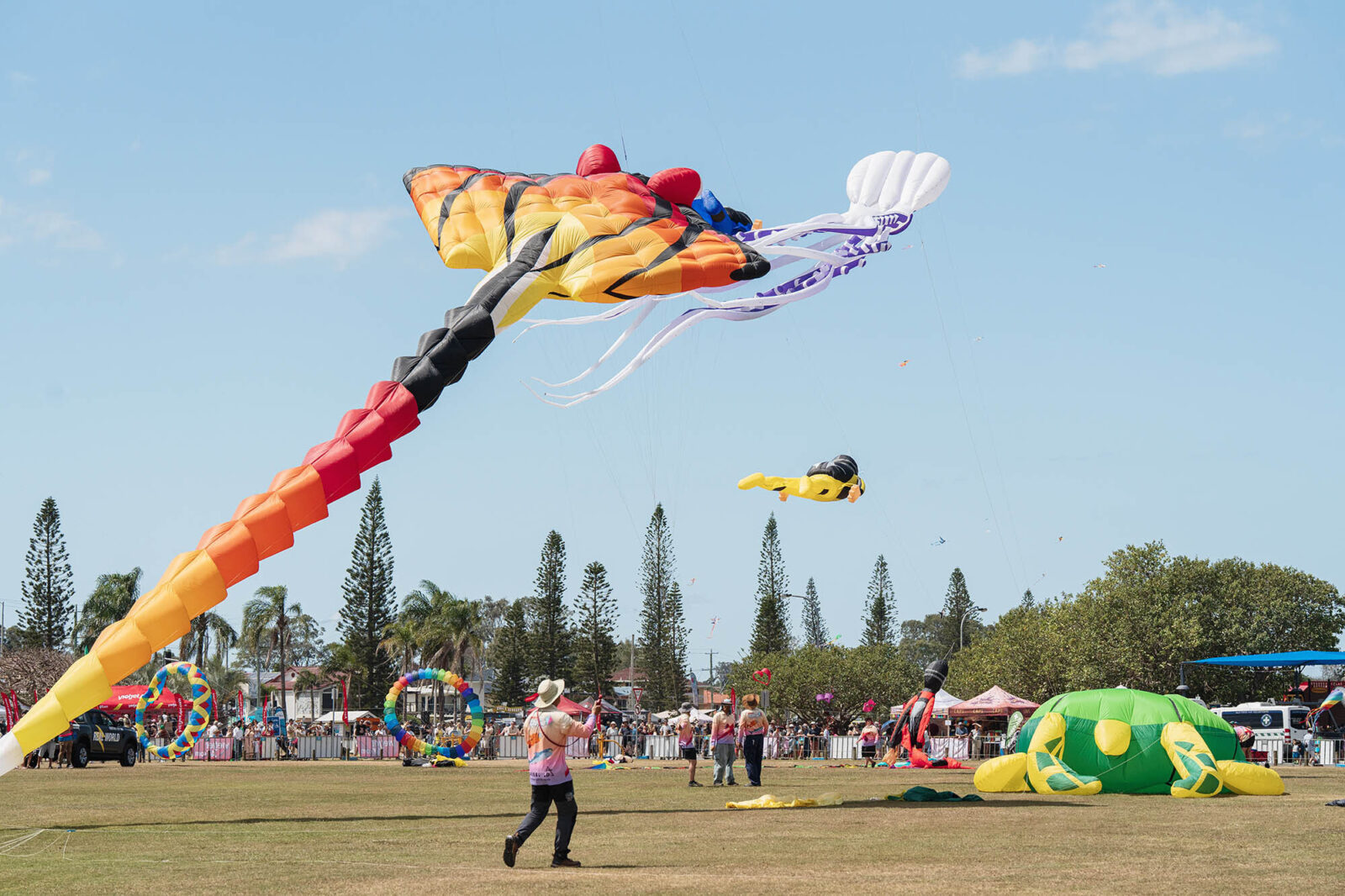 Kite Festival2025 High Res0042