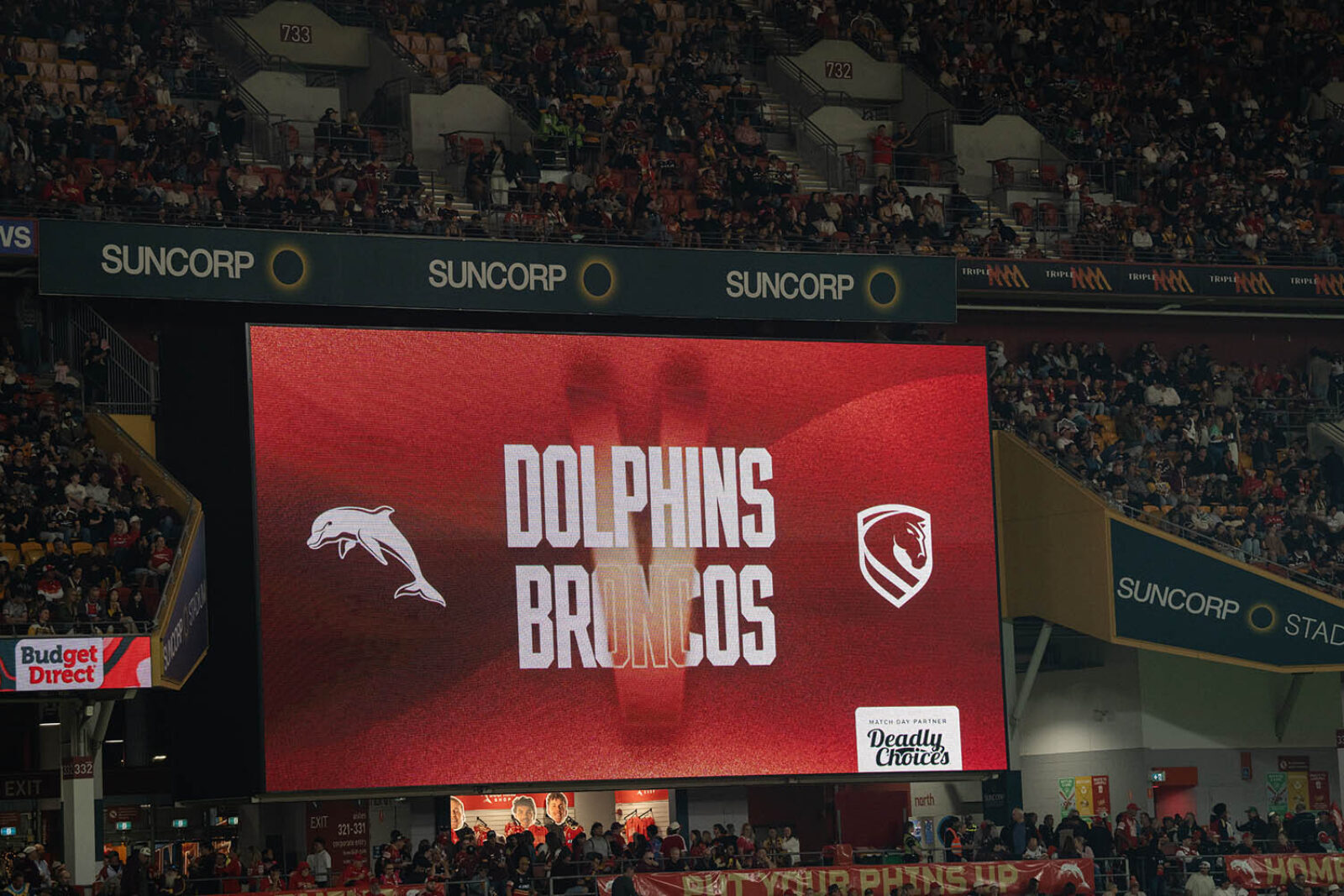 R23 Dolphins Suncorp High Res0033