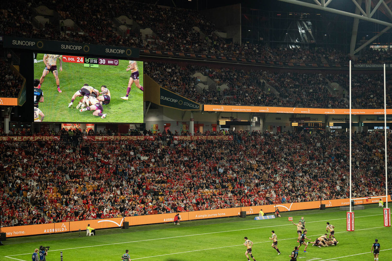 R23 Dolphins Suncorp High Res0036