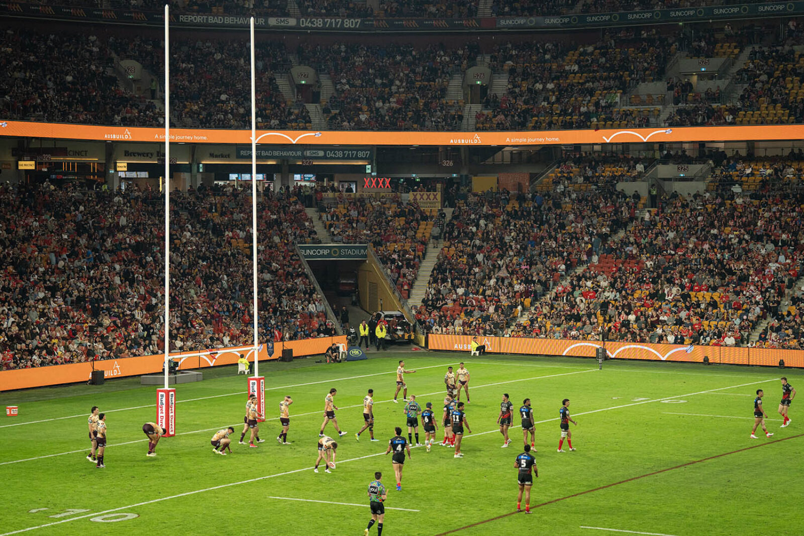 R23 Dolphins Suncorp High Res0041