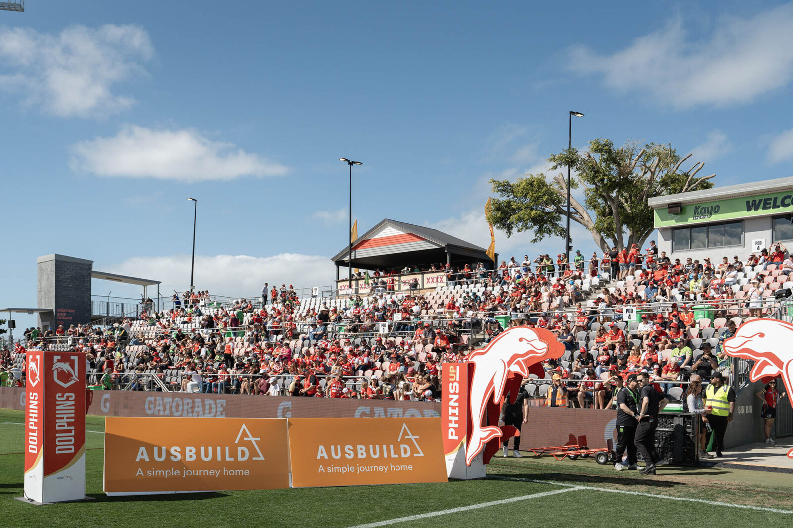 R28 Sep8 Dolphins Kayo High Res0001