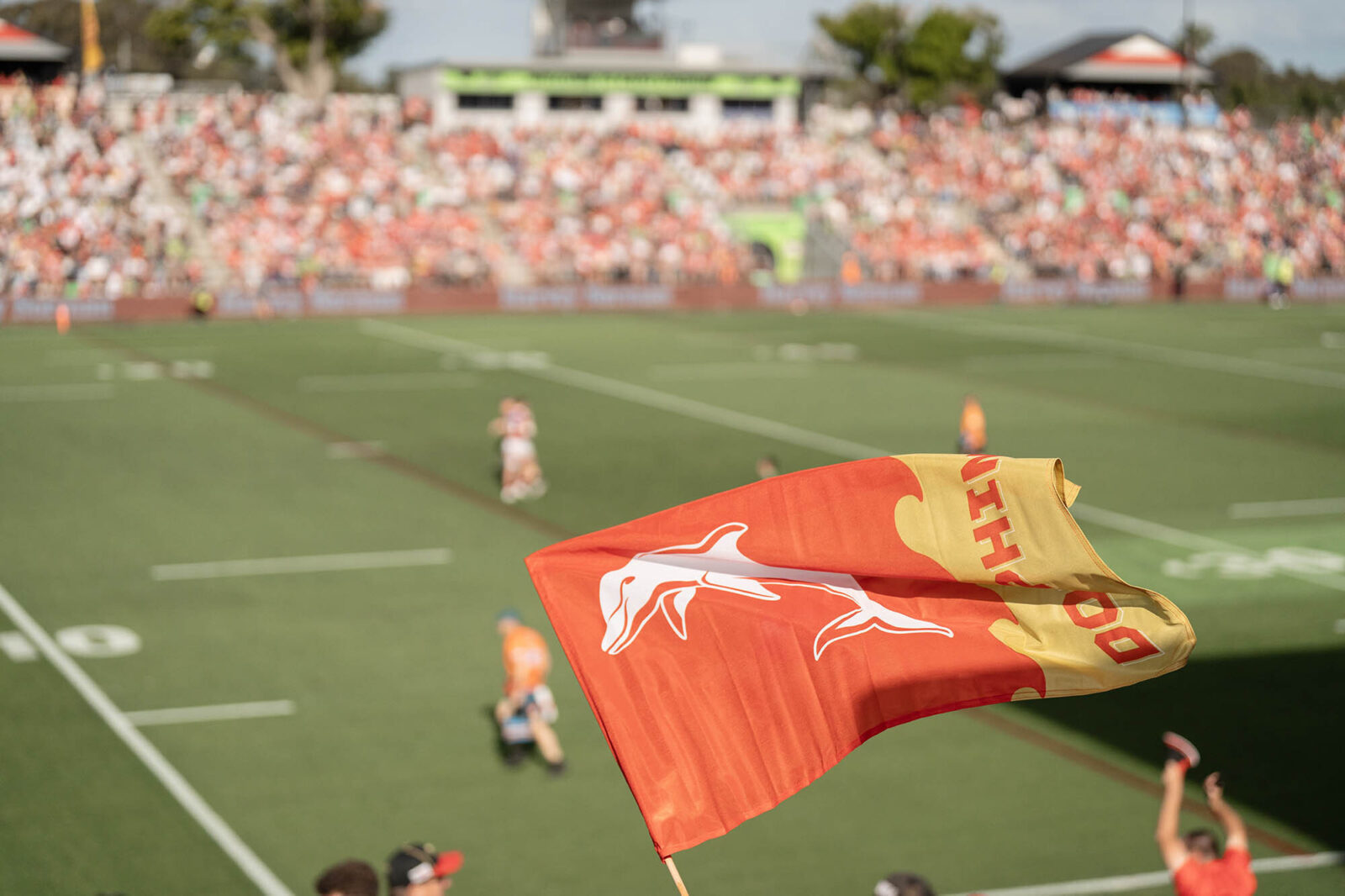 R28 Sep8 Dolphins Kayo High Res0020