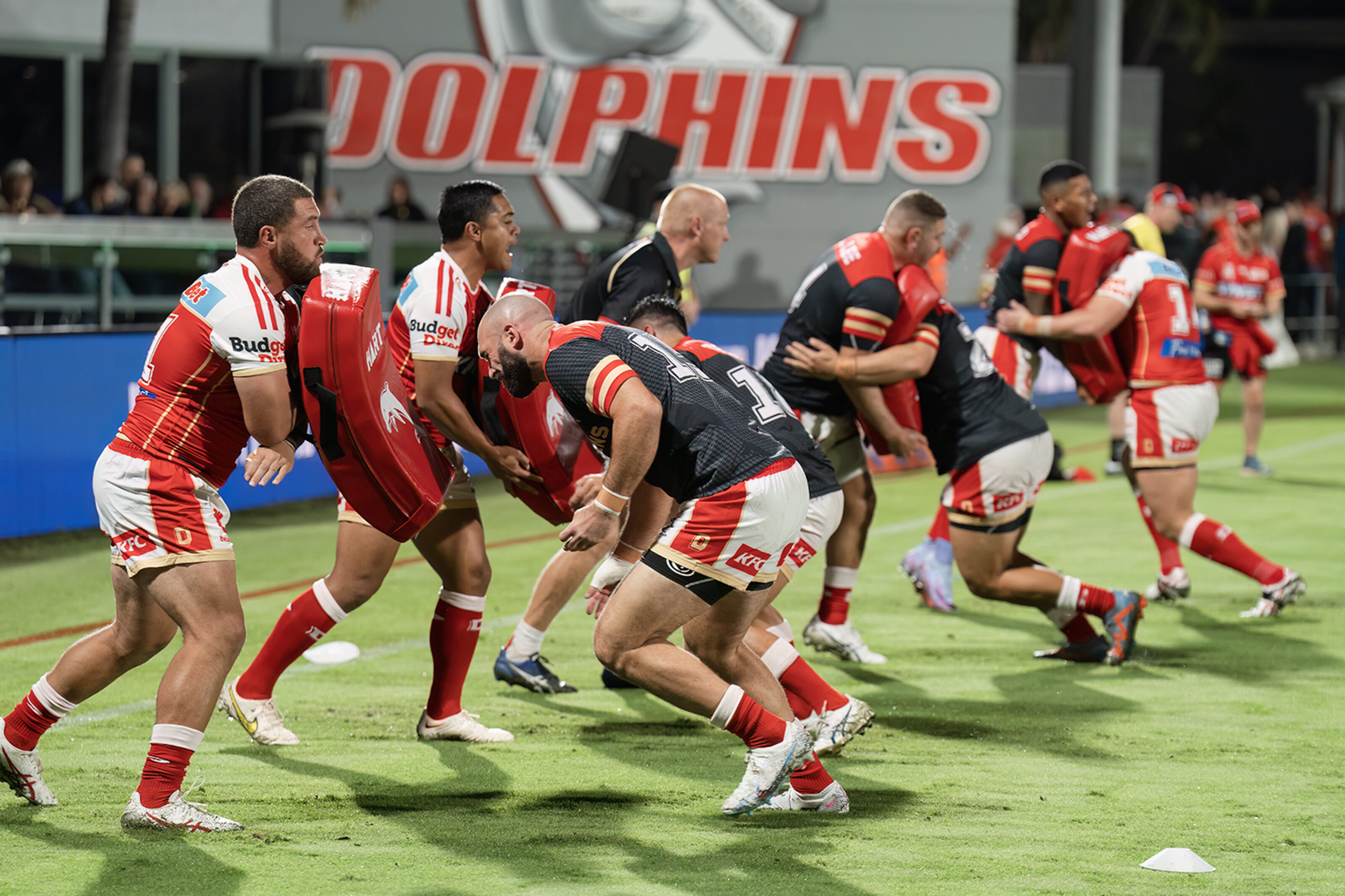 Kayo May Dolphins High Res004